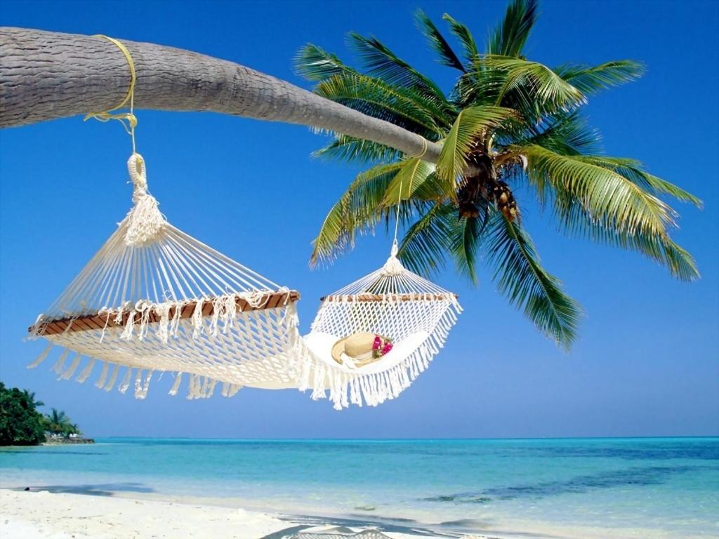 Affordable Beach Condos - Treasure Island Resort Main image 1